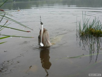 kliknutím fotku zvětšíte