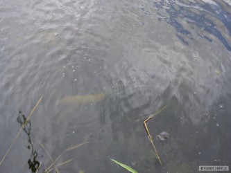 kliknutím fotku zvětšíte