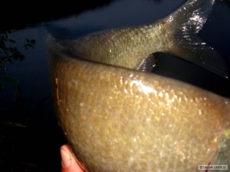 kliknutím fotku zvětšíte