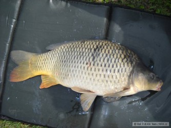 kliknutím fotku zvětšíte