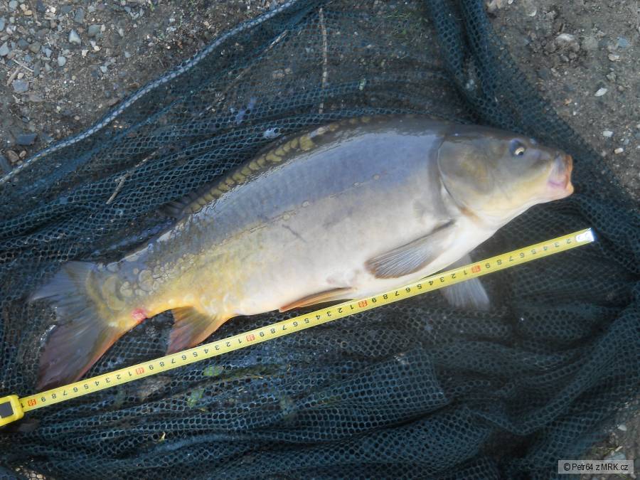 kliknutím fotku zvětšíte