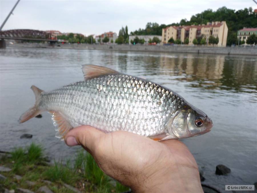 kliknutím fotku zvětšíte