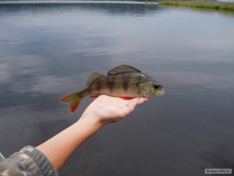 kliknutím fotku zvětšíte