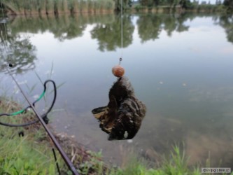 kliknutím fotku zvětšíte
