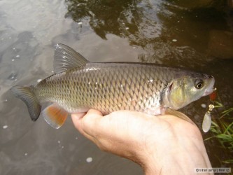kliknutím fotku zvětšíte