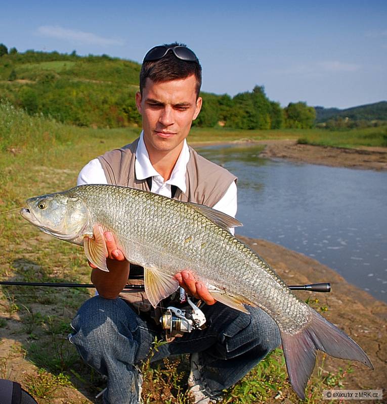 kliknutím fotku zvětšíte
