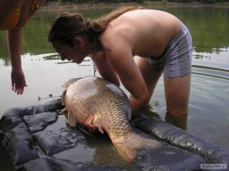 kliknutím fotku zvětšíte