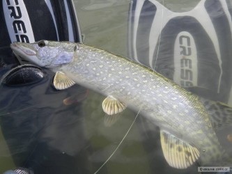 kliknutím fotku zvětšíte