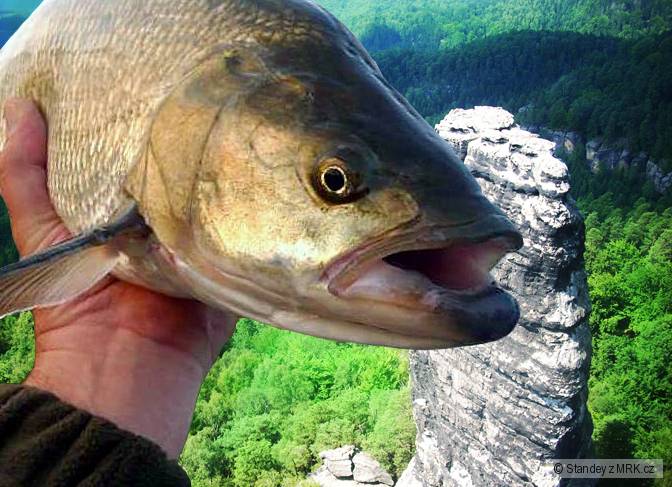 kliknutím fotku zvětšíte