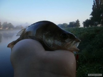 kliknutím fotku zvětšíte