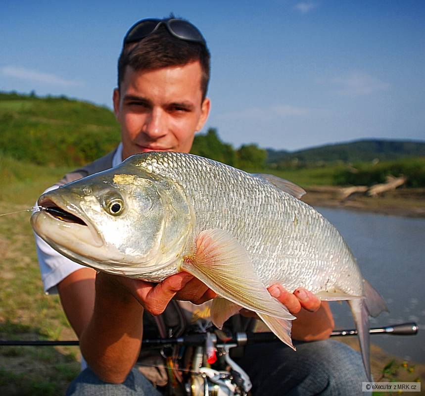 kliknutím fotku zvětšíte