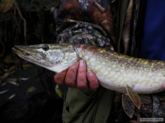 kliknutím fotku zvětšíte