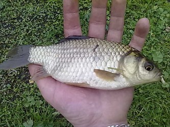kliknutím fotku zvětšíte