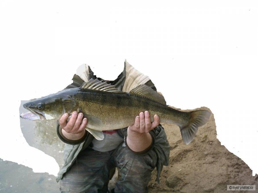 kliknutím fotku zvětšíte