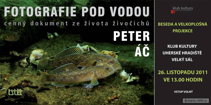 kliknutím fotku zvětšíte