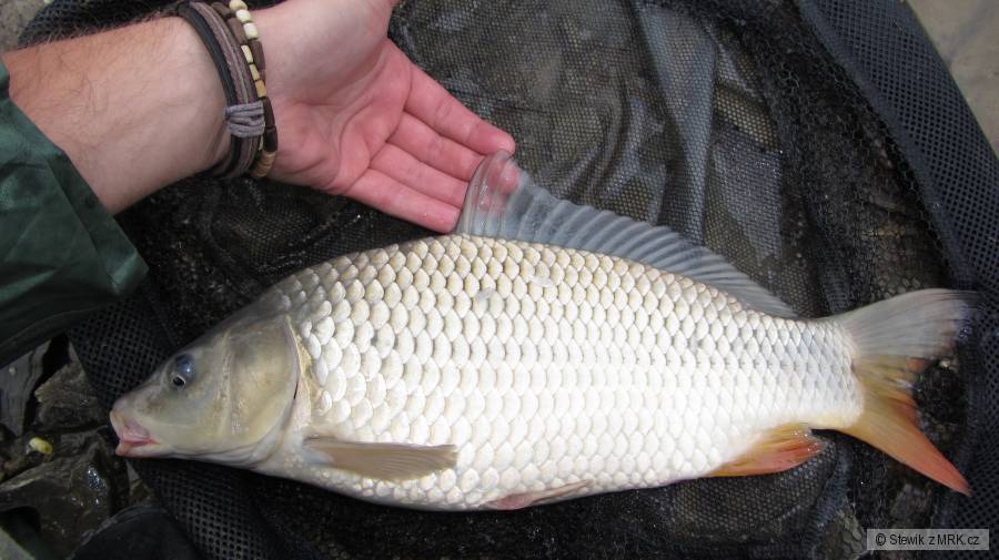 kliknutím fotku zvětšíte