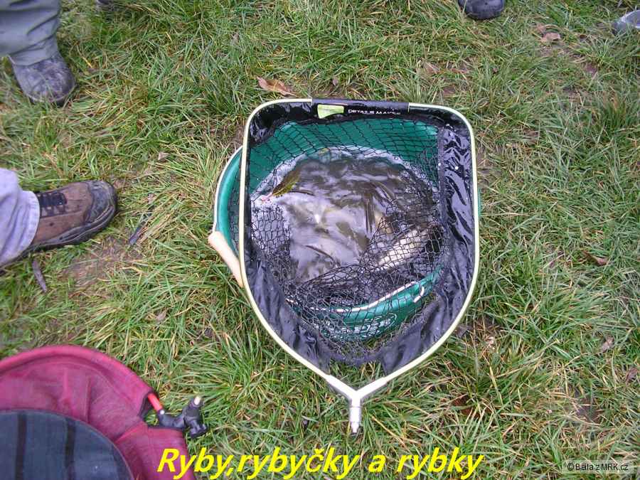 kliknutím fotku zvětšíte
