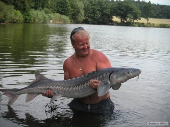 kliknutím fotku zvětšíte