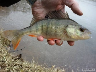 kliknutím fotku zvětšíte