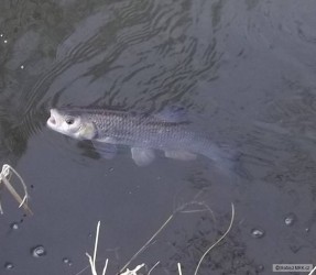 kliknutím fotku zvětšíte