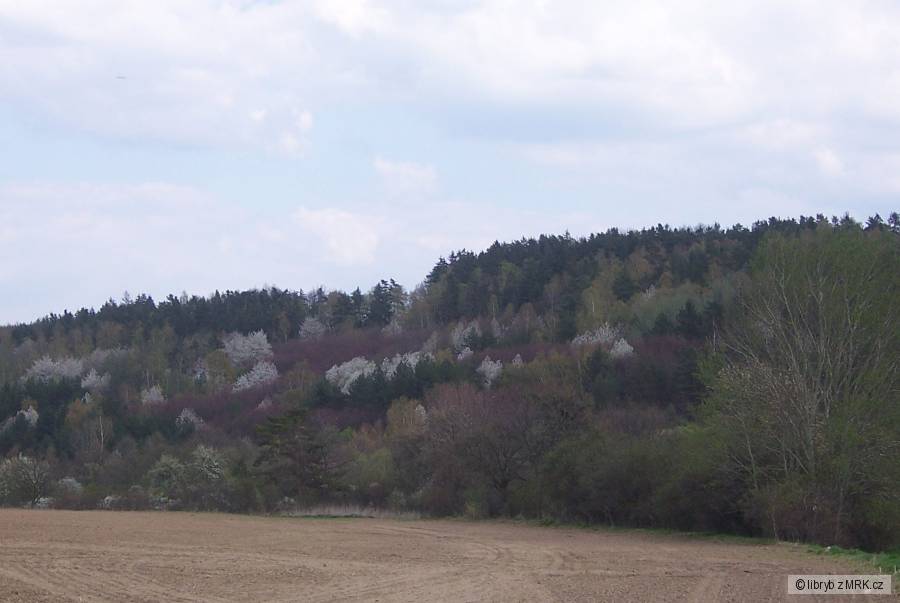 kliknutím fotku zvětšíte