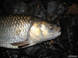 kliknutím fotku zvětšíte