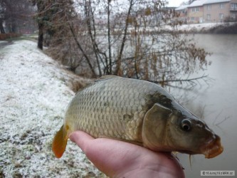 kliknutím fotku zvětšíte