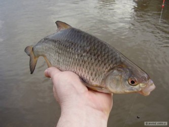 kliknutím fotku zvětšíte