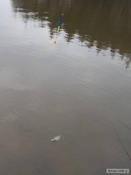 kliknutím fotku zvětšíte