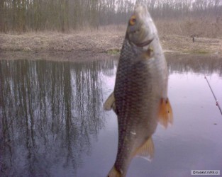 kliknutím fotku zvětšíte
