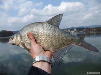 kliknutím fotku zvětšíte