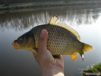 kliknutím fotku zvětšíte
