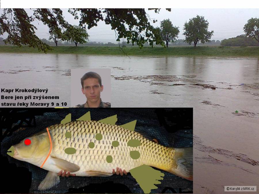 kliknutím fotku zvětšíte