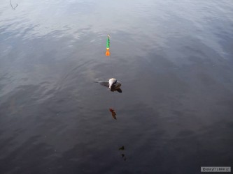 kliknutím fotku zvětšíte