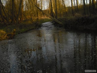 kliknutím fotku zvětšíte