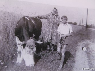 kliknutím fotku zvětšíte