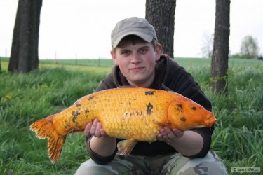 kliknutím fotku zvětšíte