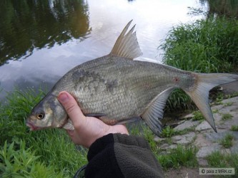 kliknutím fotku zvětšíte