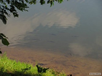 kliknutím fotku zvětšíte