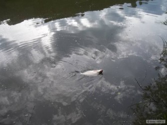 kliknutím fotku zvětšíte