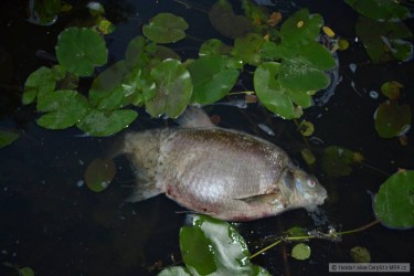 kliknutím fotku zvětšíte