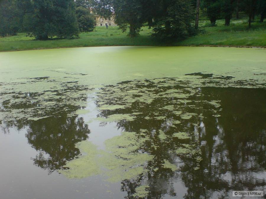 kliknutím fotku zvětšíte