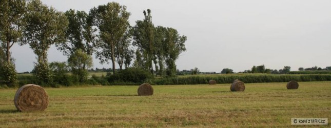 kliknutím fotku zvětšíte