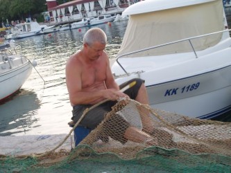 kliknutím fotku zvětšíte