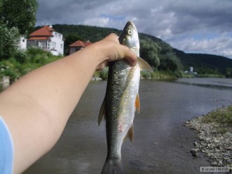 kliknutím fotku zvětšíte