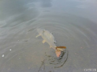 kliknutím fotku zvětšíte