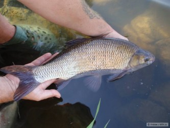 kliknutím fotku zvětšíte