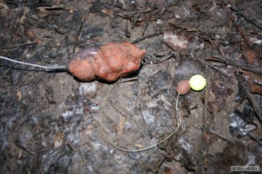 kliknutím fotku zvětšíte