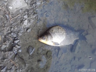 kliknutím fotku zvětšíte