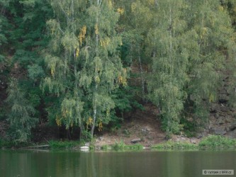 kliknutím fotku zvětšíte